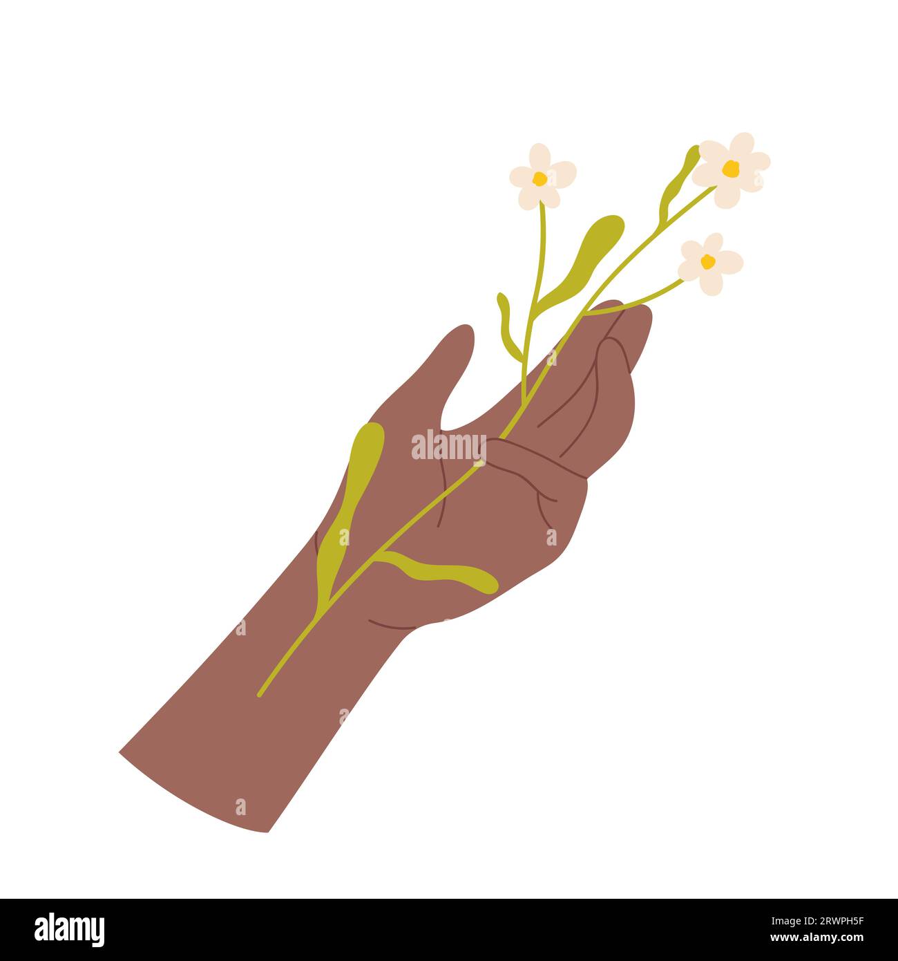 Wild flower branch in human hand. Blooming summer flowers, forest flora cartoon vector illustration Stock Vector