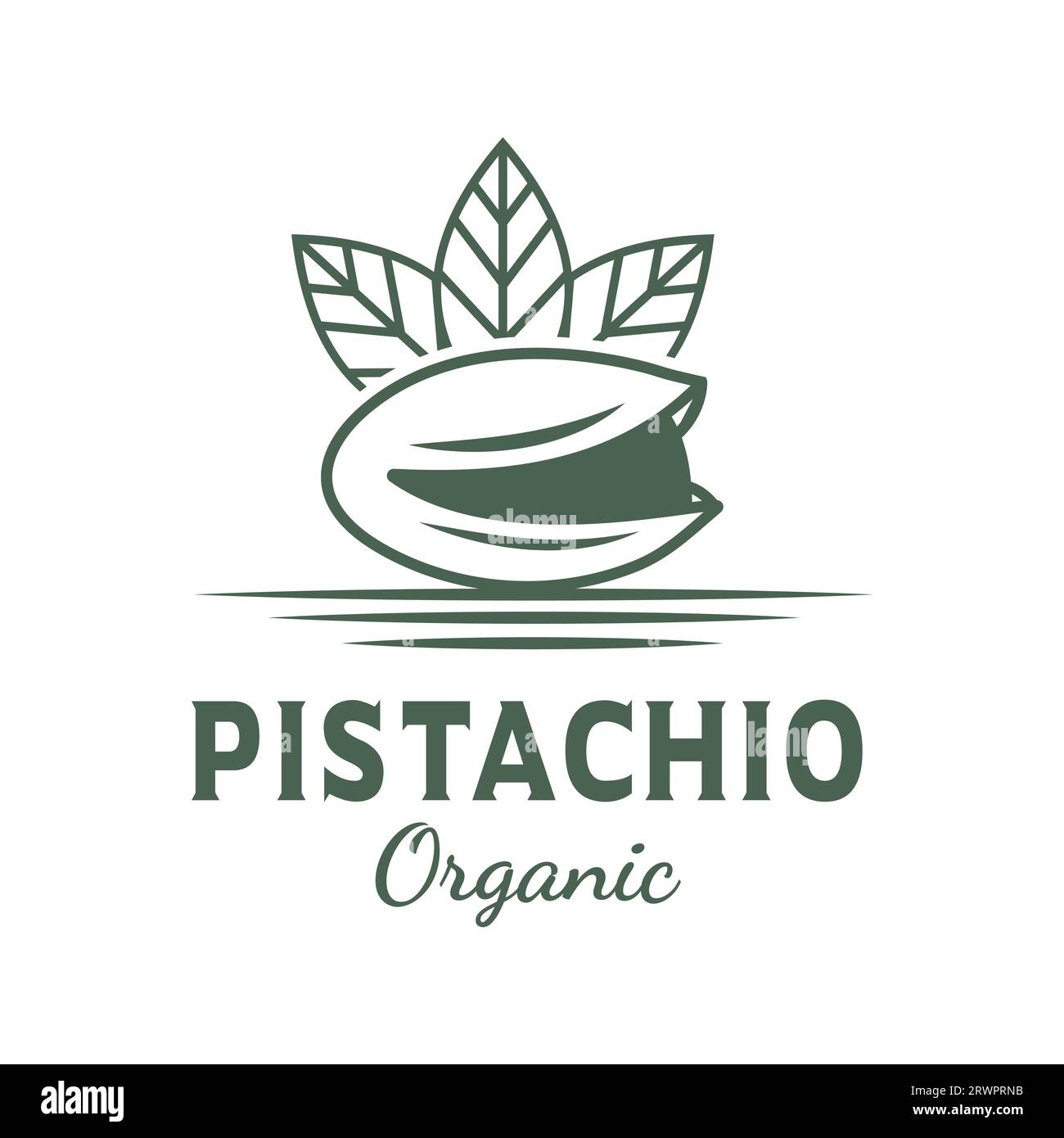 Pistachio nuts, along with their green leaves, represent a healthy and natural source of nutrition Stock Vector