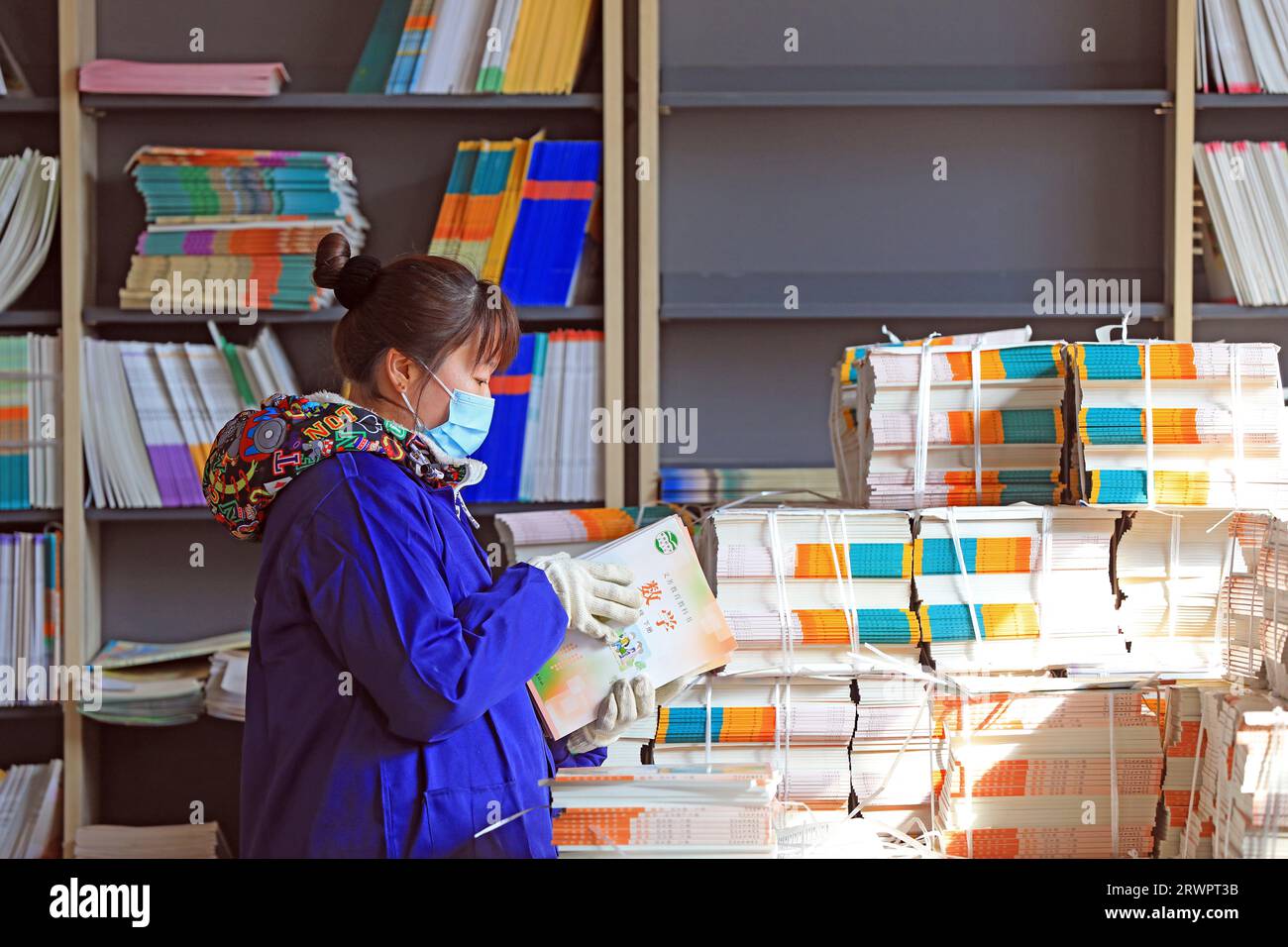 Sorting staff hi-res stock photography and images - Alamy