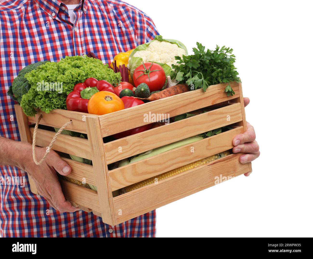 Harvesting season. Farmer holding wooden crate with vegetables on white ...
