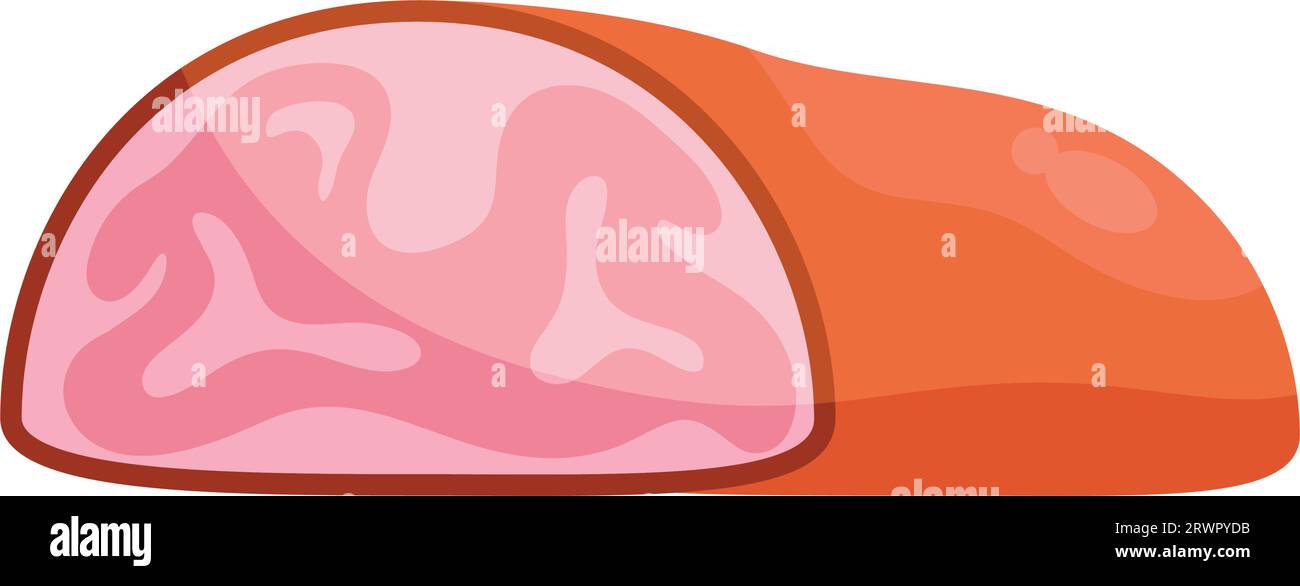 meat product illustration vector isolated Stock Vector Image & Art - Alamy