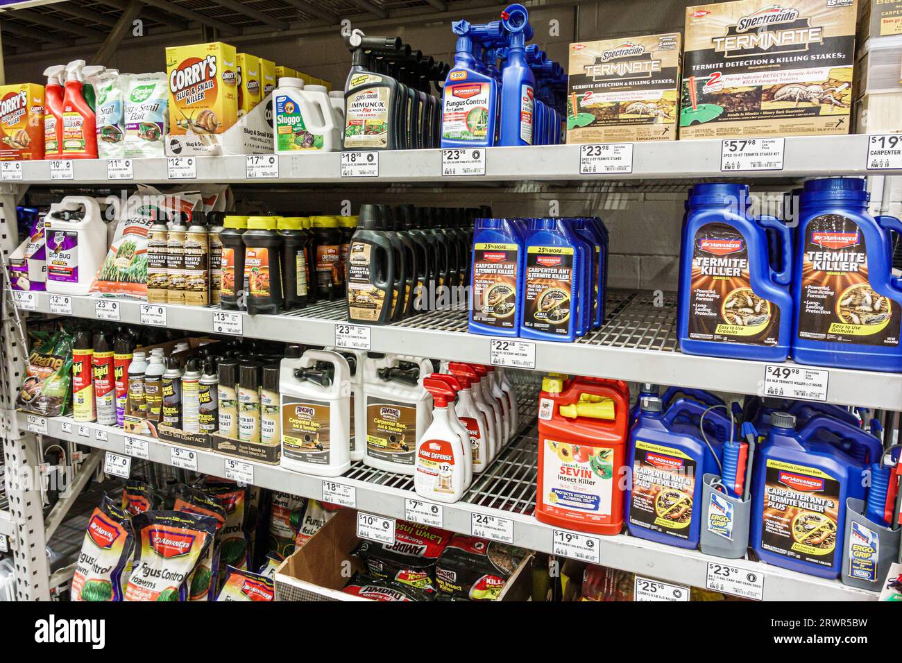 Photo termites hi-res stock photography and images - Alamy