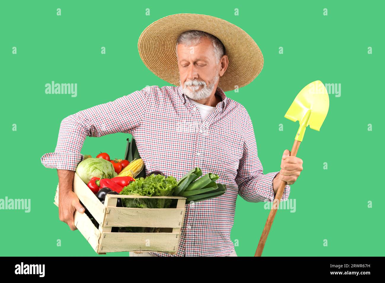 Mature male farmer with shovel and wooden box full of different ripe ...