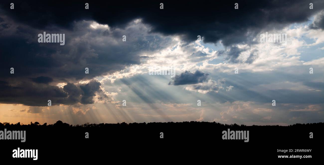 Sunrays coming out of a mix of white and black clouds with a forest silhouette, panorama Stock Photo