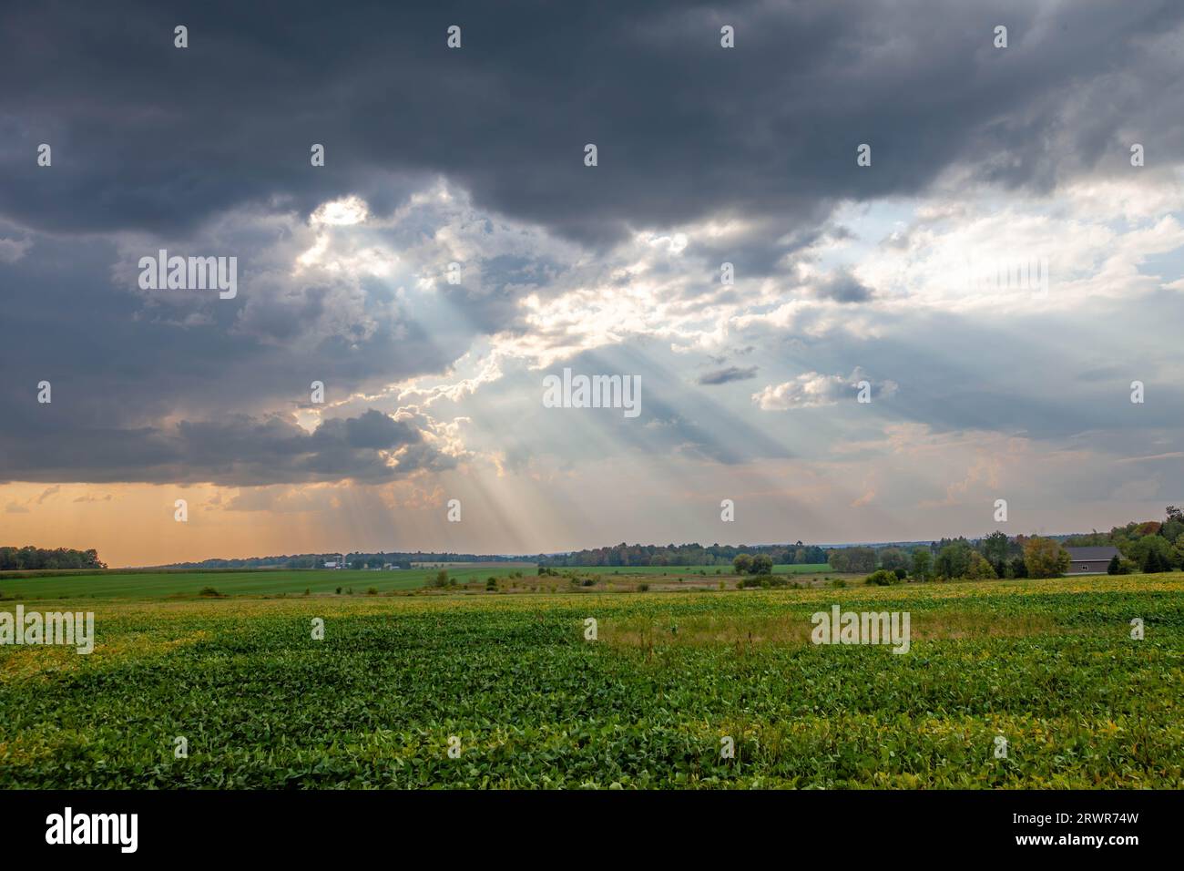 Wisconsin farmland with sunrays coming out of the clouds in September, horizontal Stock Photo