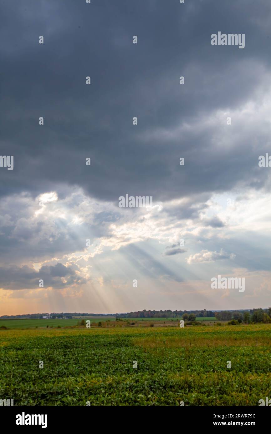Wisconsin farmland with sunrays coming out of the clouds in September, vertical Stock Photo