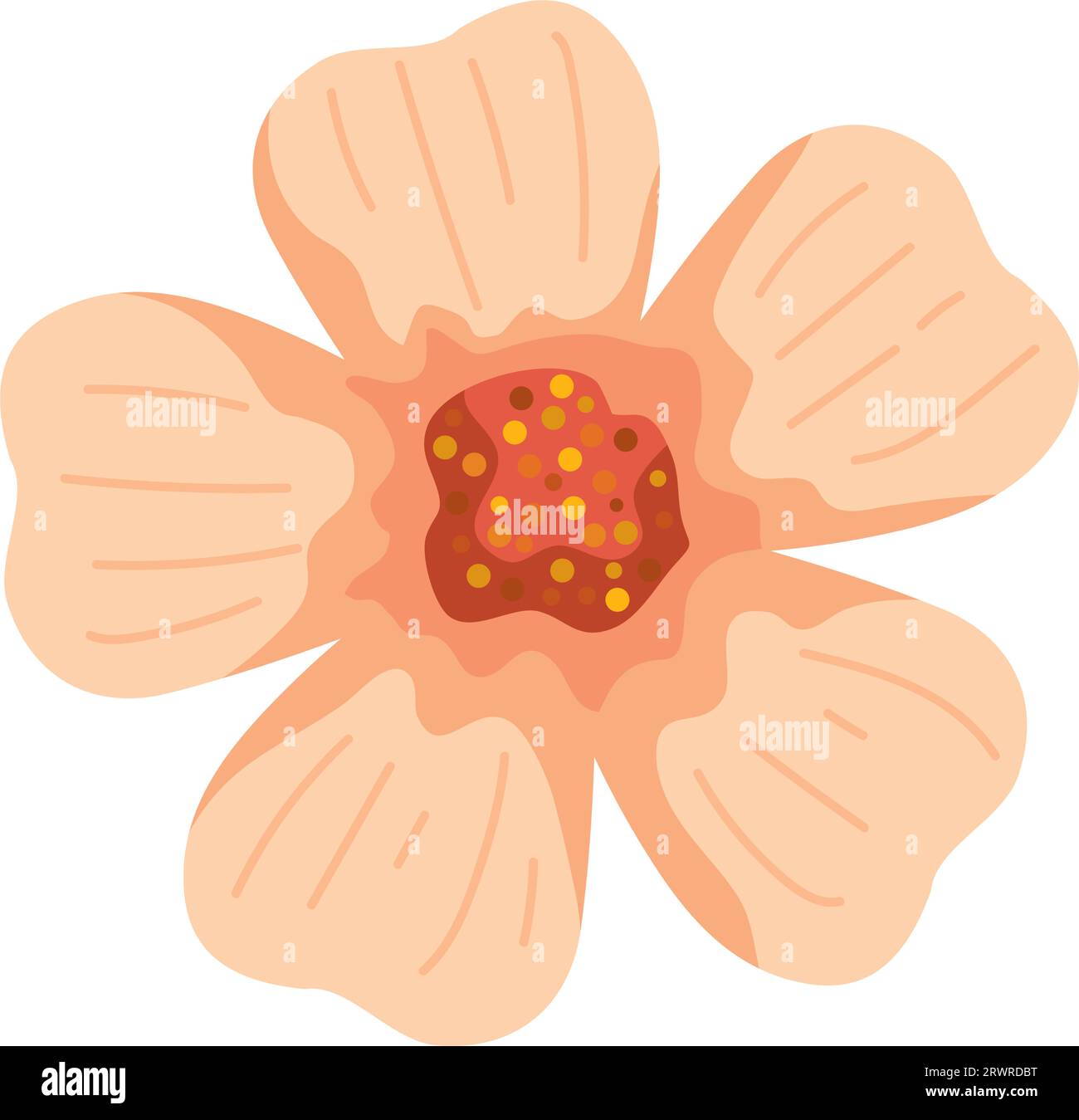 flower isolated design Stock Vector Image & Art - Alamy