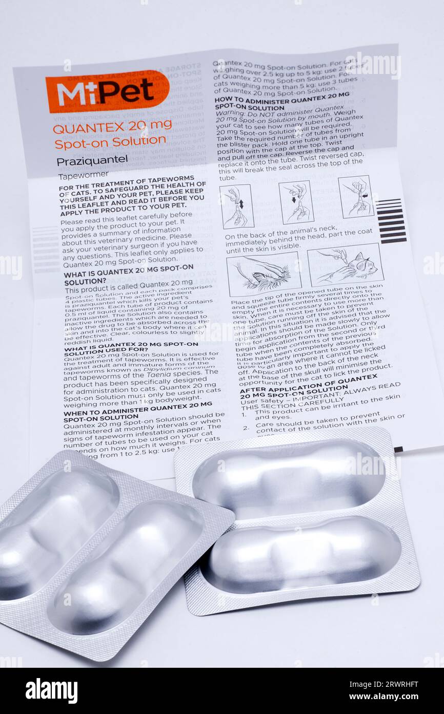 Leaflet from Mipet Quantex Cat Spot On Four 0.5ml Pack Pipettes Solution Tapeworm Treatment for Cats Stock Photo