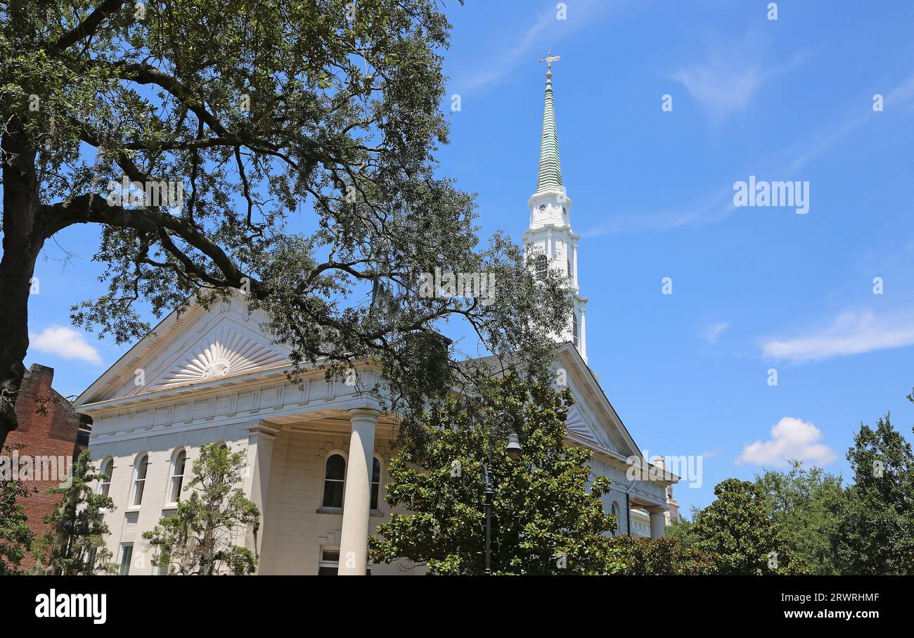 Trees and Independent Presbyterian Church - Savannah, Georgia Stock ...