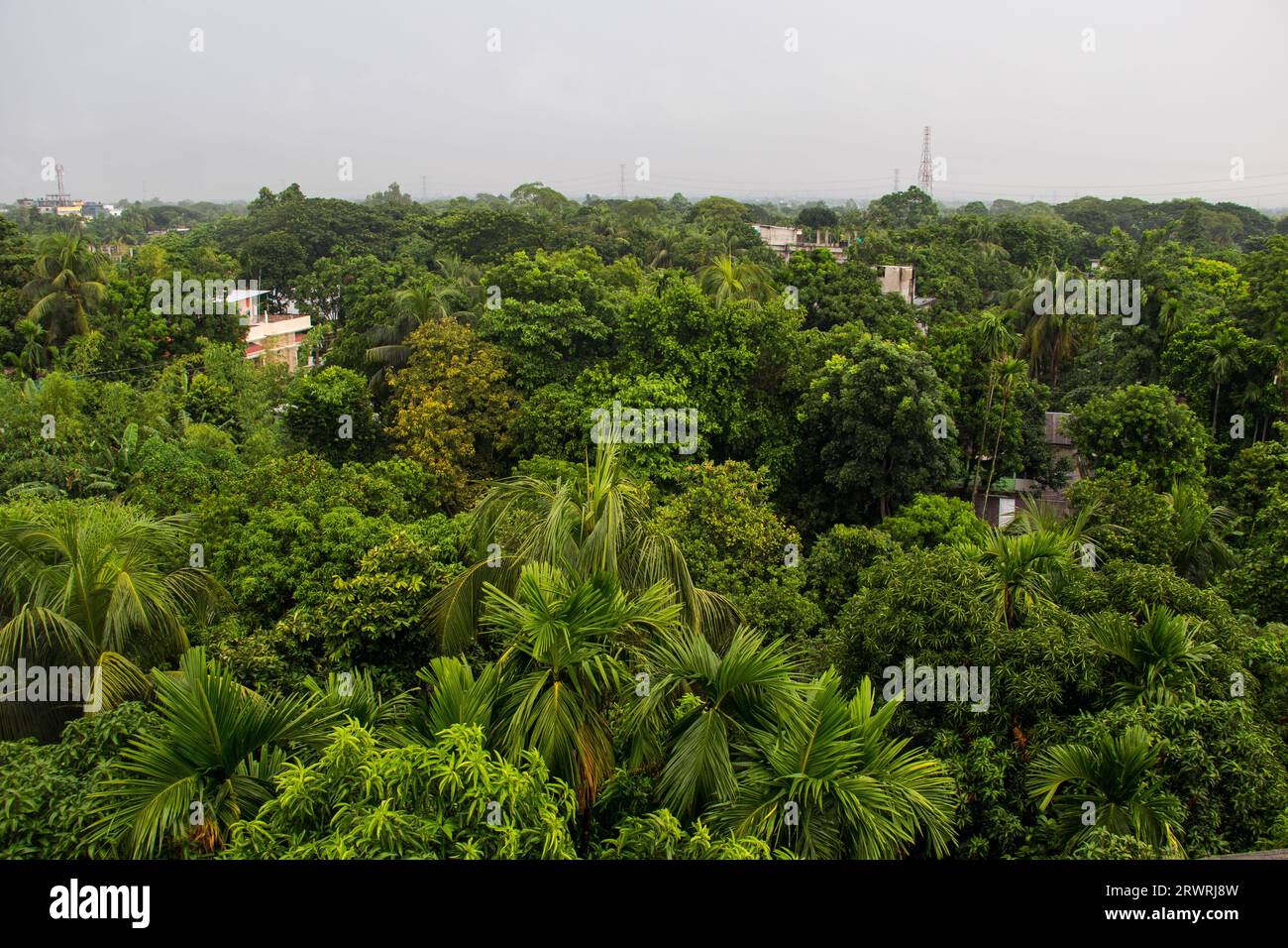 Arial view green forest photography from Ruhitpur, Bangladesh, on September 05, 2022 Stock Photo