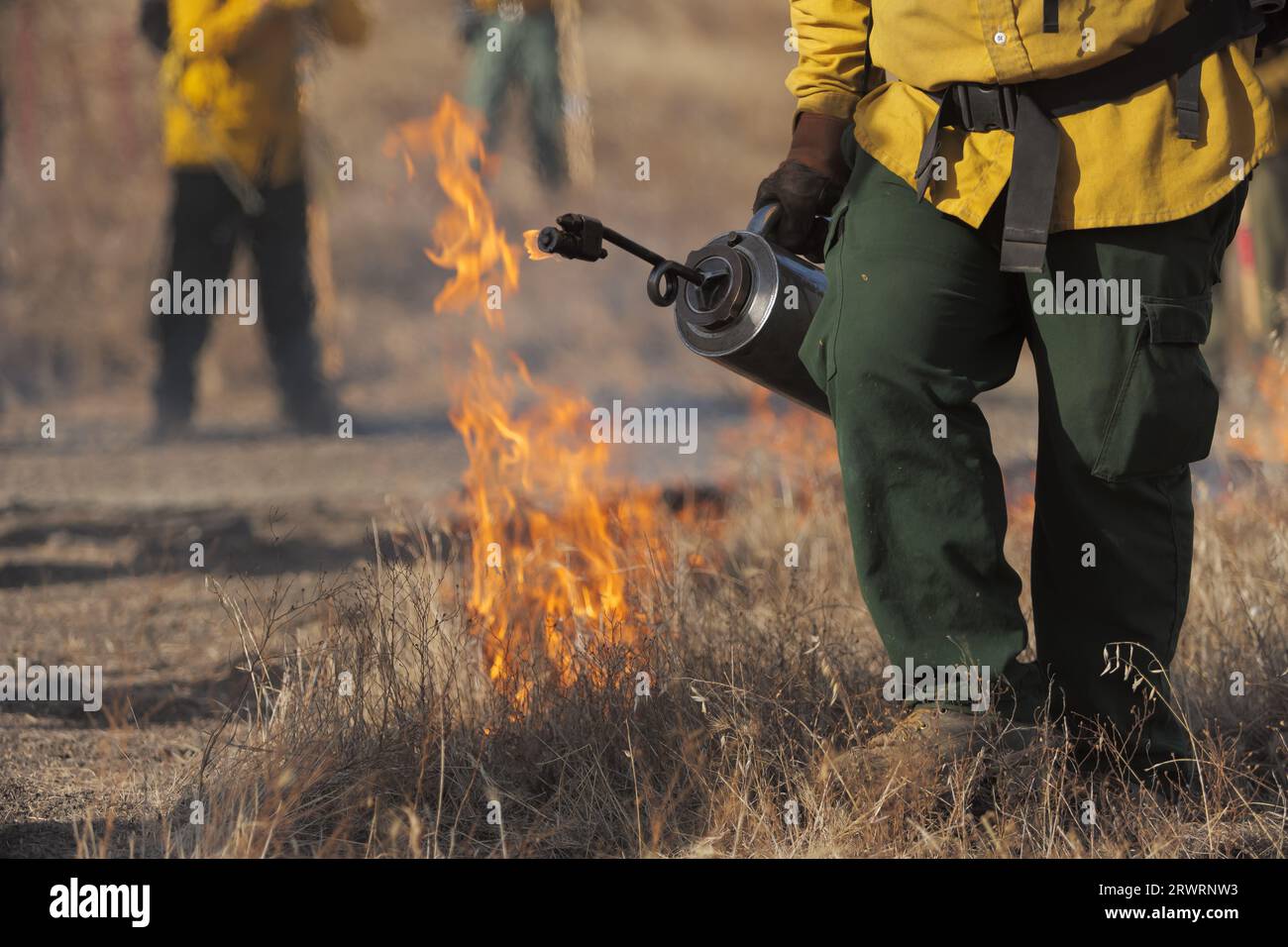 A firefighter lights grass on fire using a drip torch while others watch Stock Photo