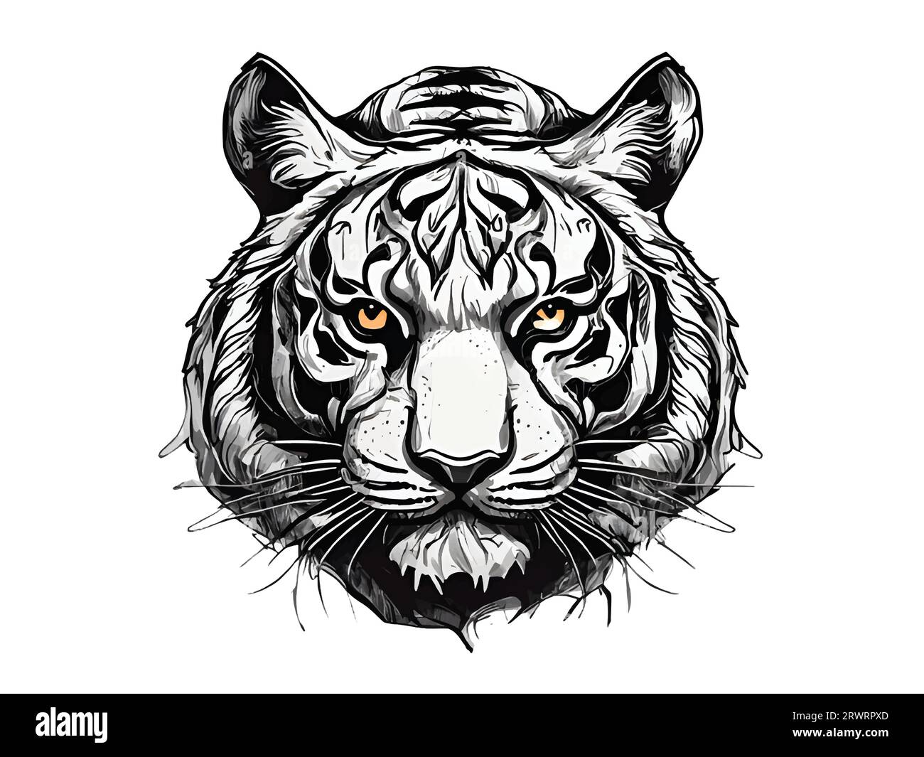 fierce white tiger drawing