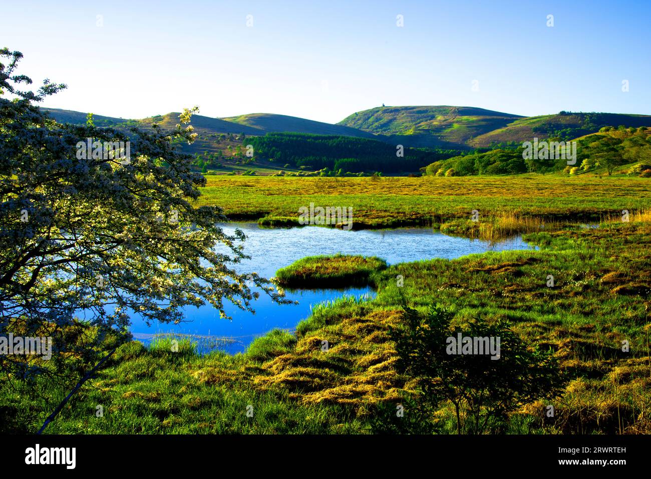 Yashima-ga-ike Pond and Yashima-gahara High Marsh in the morning Stock Photo