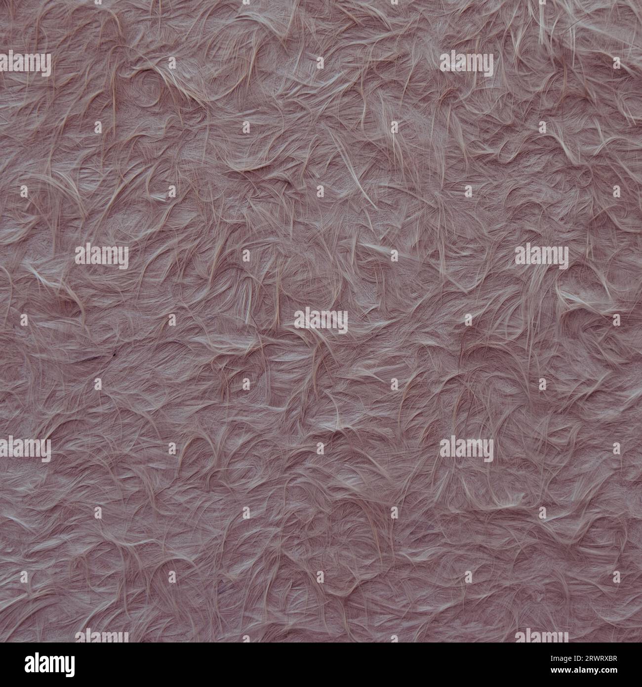 Pink feather background. Perfect abstract textured pattern. Stock Photo