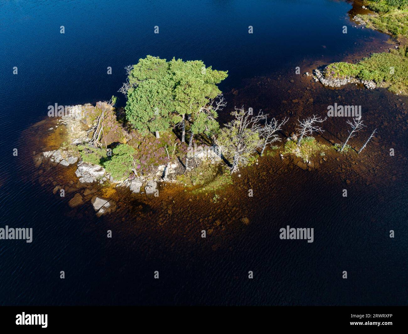 Aerial view of the freshwater loch Loch Assynt with a small island of trees, County Sutherland, Scotland, Great Britain Stock Photo