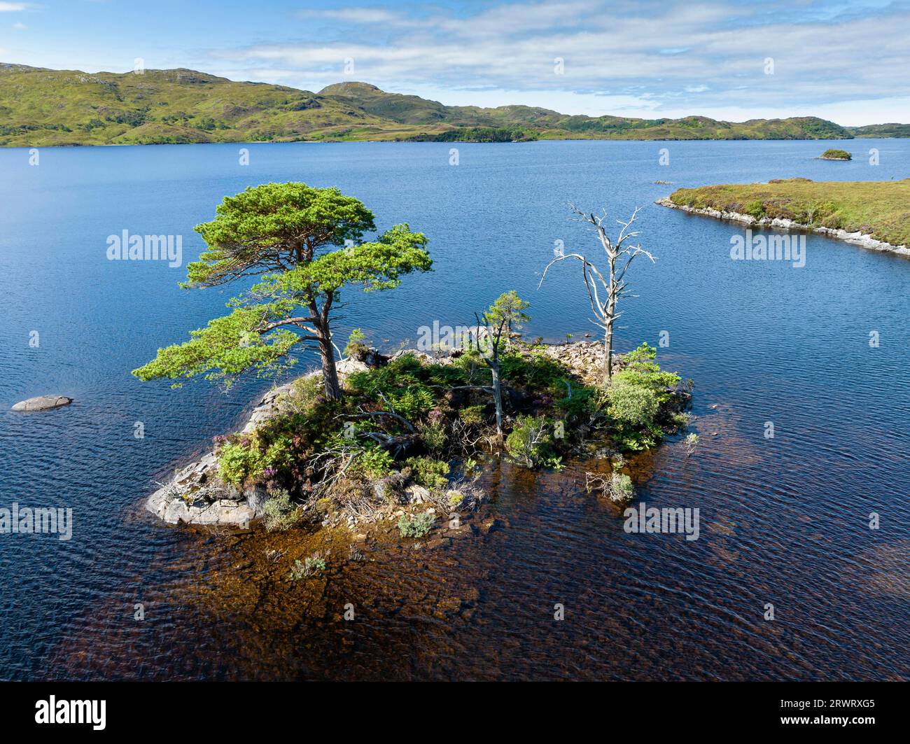 Aerial view of the freshwater loch Loch Assynt with a small island of trees, County Sutherland, Scotland, Great Britain Stock Photo