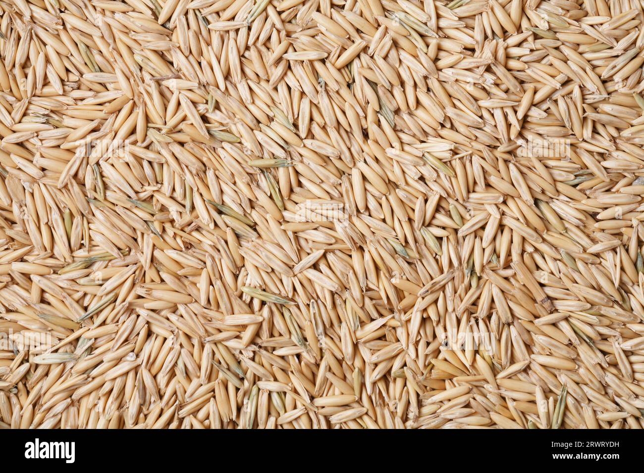A Texture of oats seeds Stock Photo