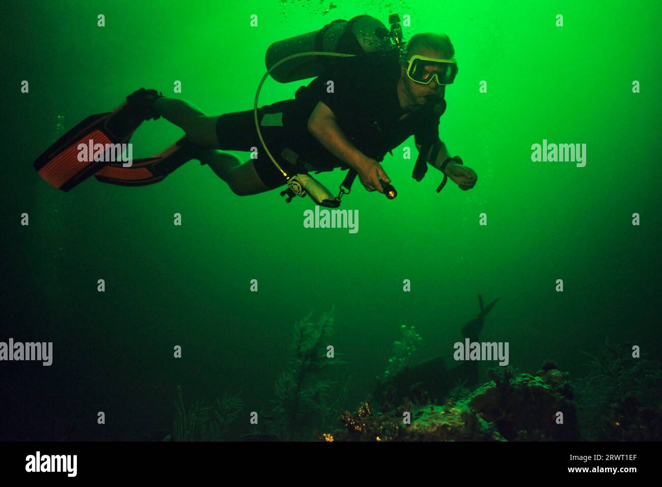 Diver with lamp on the reef, Cayo Largo Cuba Stock Photo