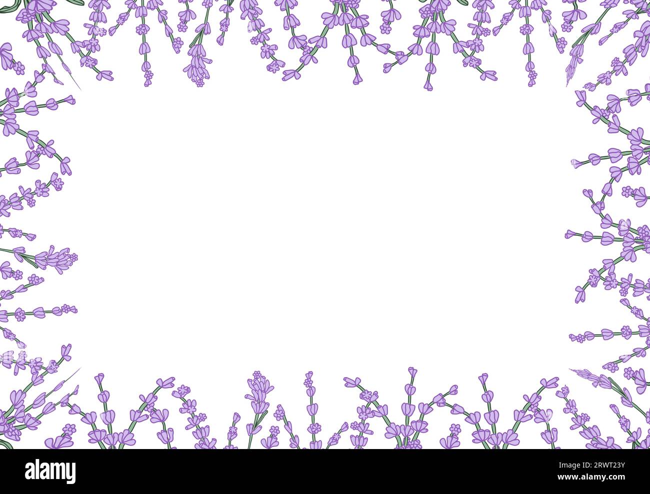 Lavender hand drawn flower background Stock Vector