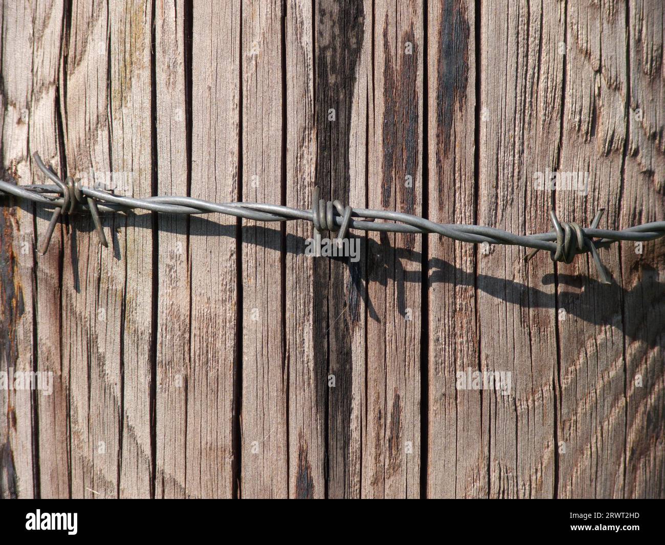 Barbed wire around wooden posts, detail photo Stock Photo - Alamy