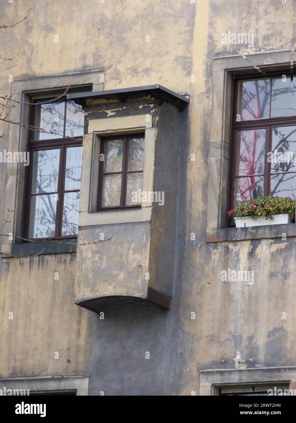 Backyard with bay window and some windows with flower boxes Stock Photo