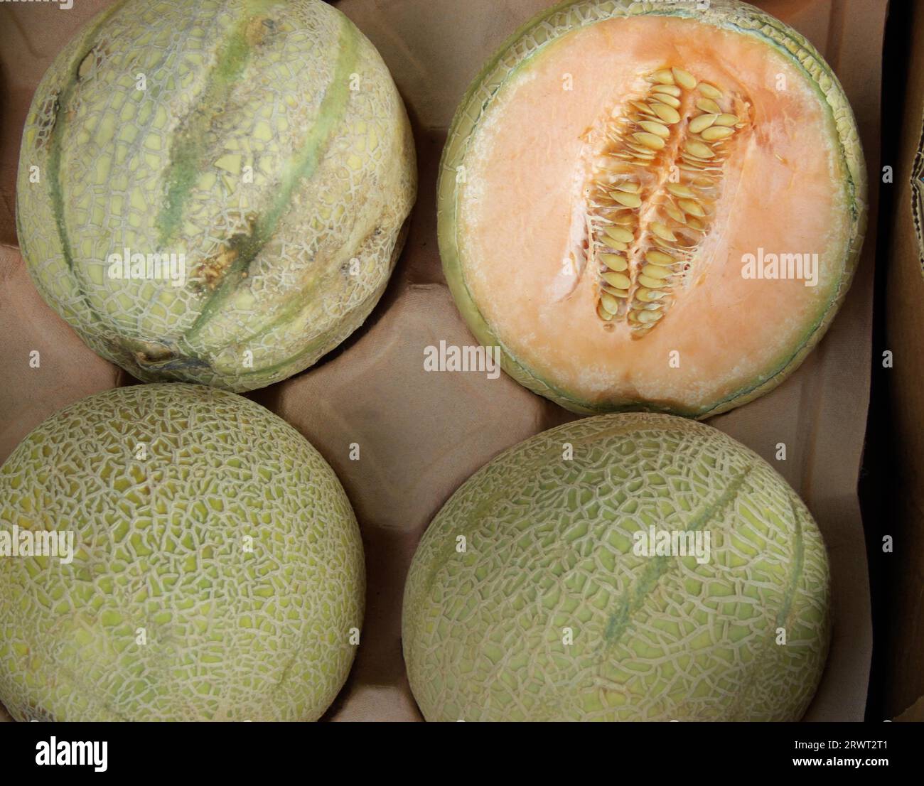 Four net melons, one of them cut open, in a fruit box Stock Photo Alamy