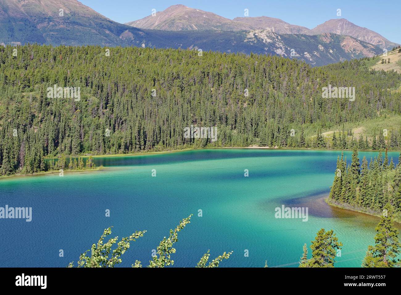x–Transparent clear lake with green water colour, forest and mountains ...