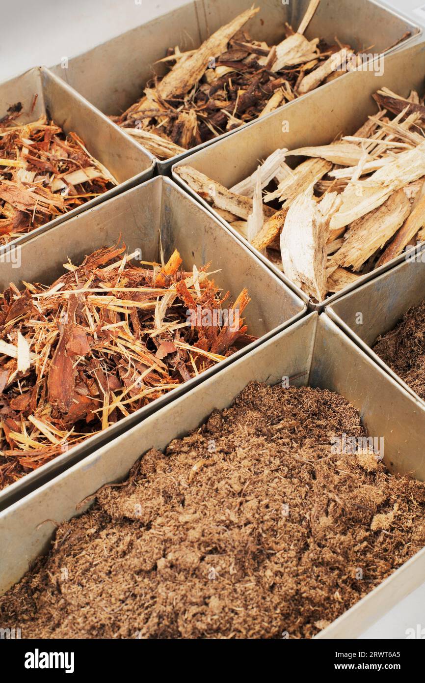 Bark examination hi-res stock photography and images - Alamy