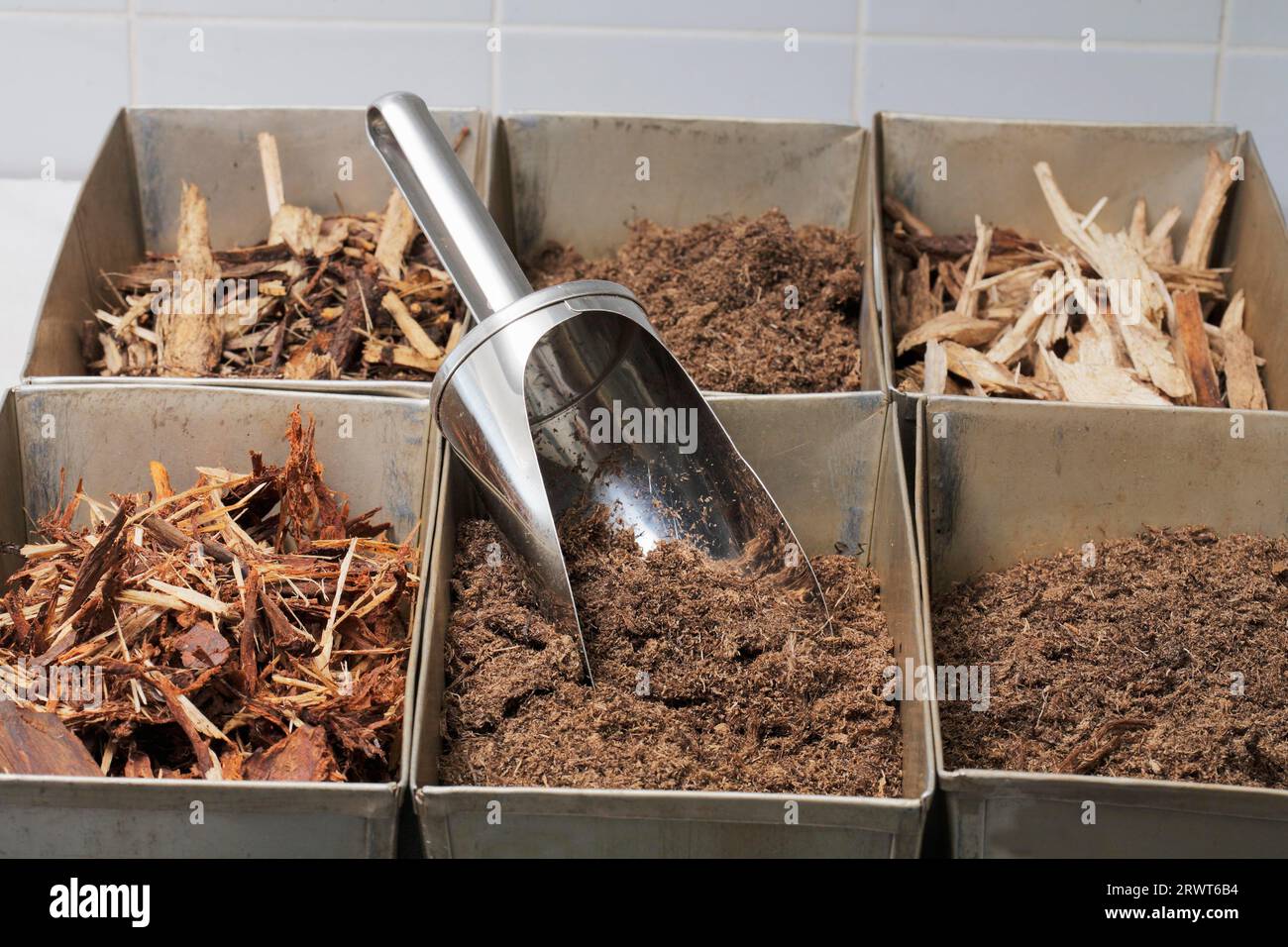 Bark examination hi-res stock photography and images - Alamy