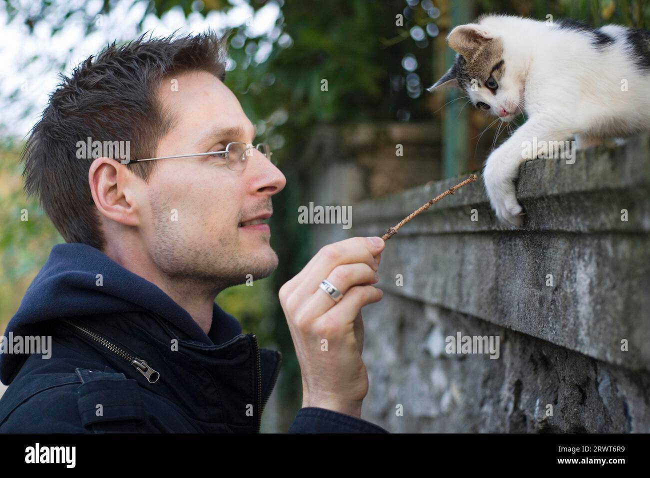 A man playing with a young domestic cat Stock Photo