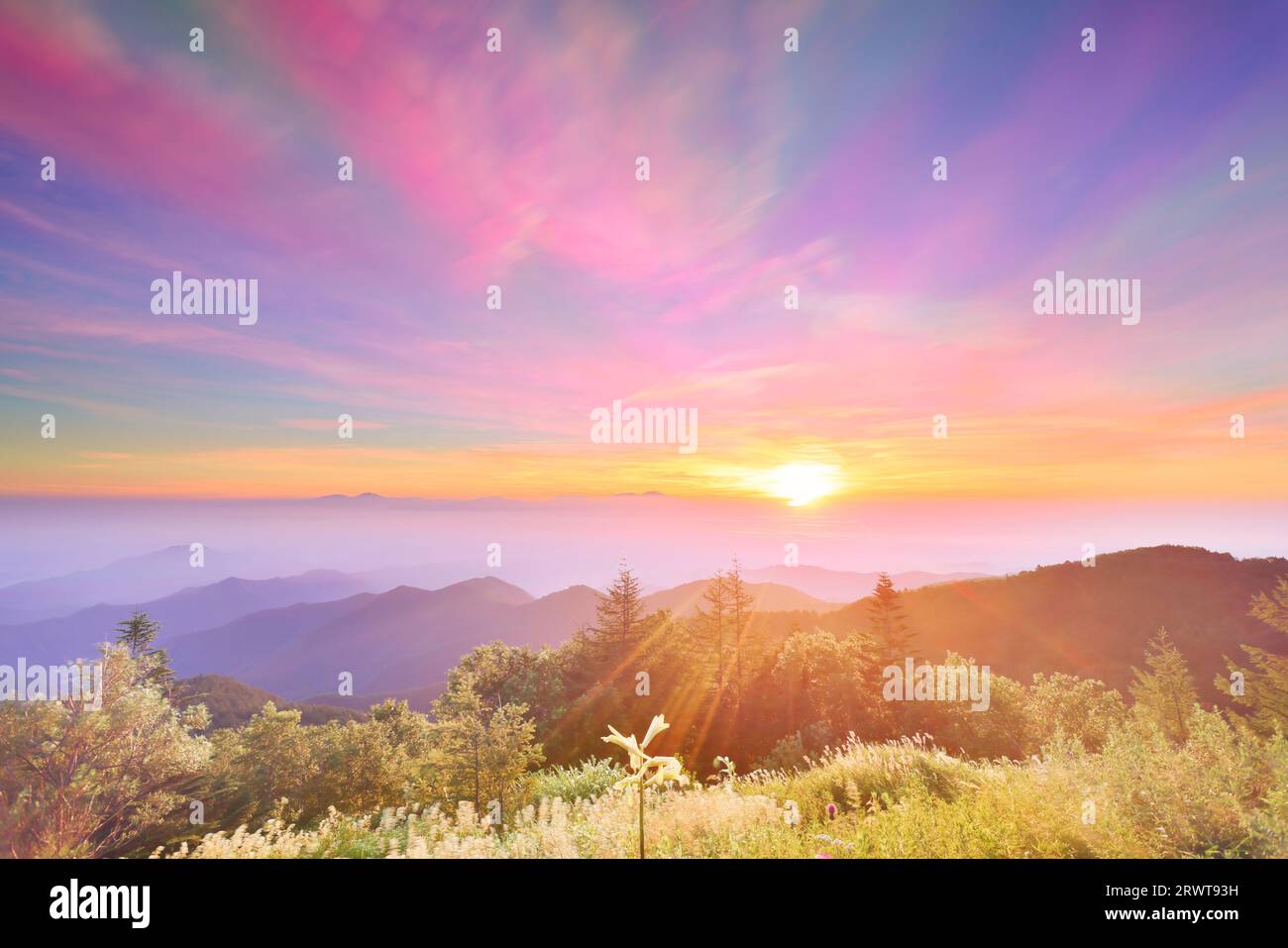 Multiple exposures of Mt. Asama, day lilies and sunrise from Utsukushi-ga-hara Stock Photo