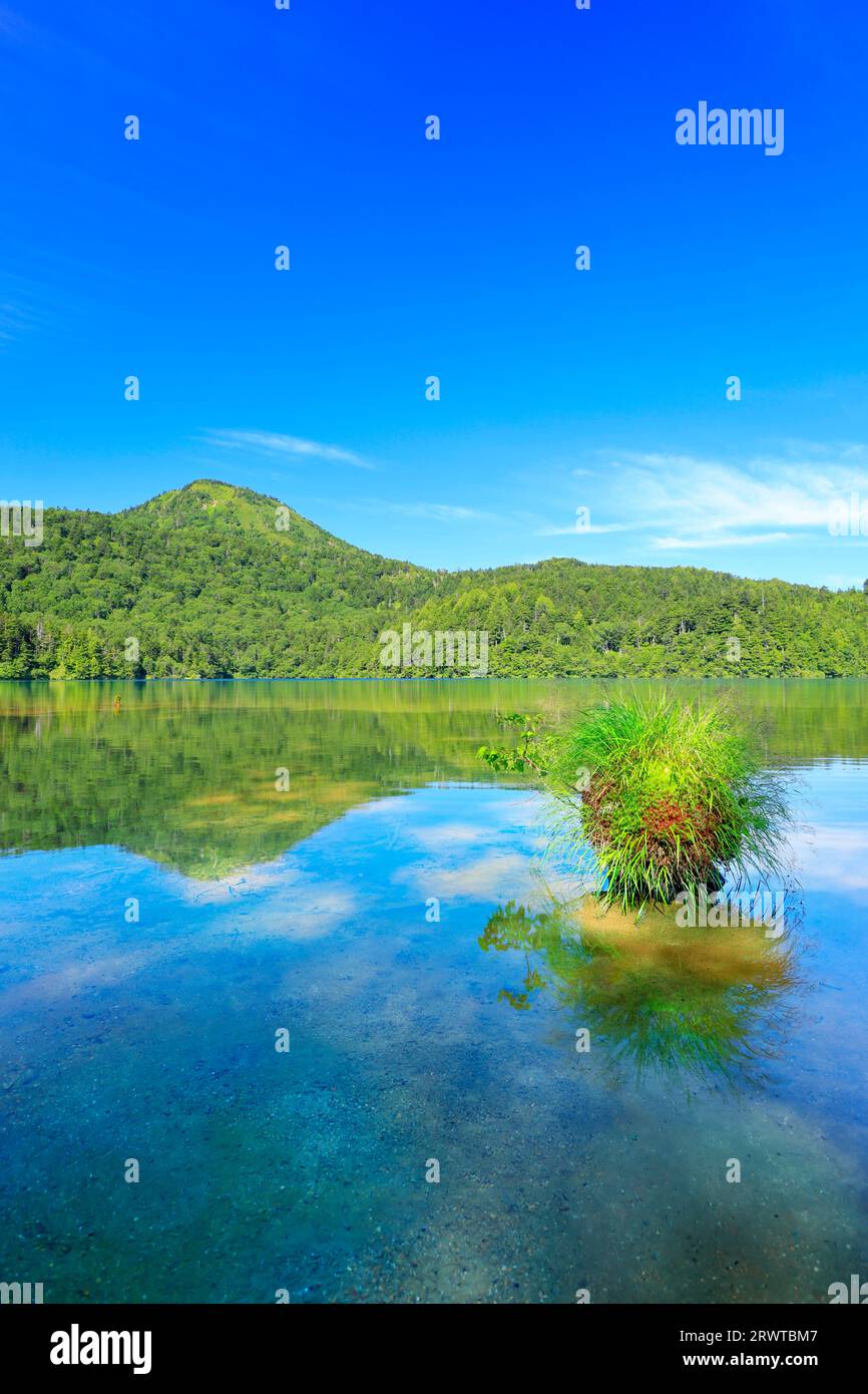 Onuma Pond and Mt. Shiga and rocks with wet vegetation Stock Photo