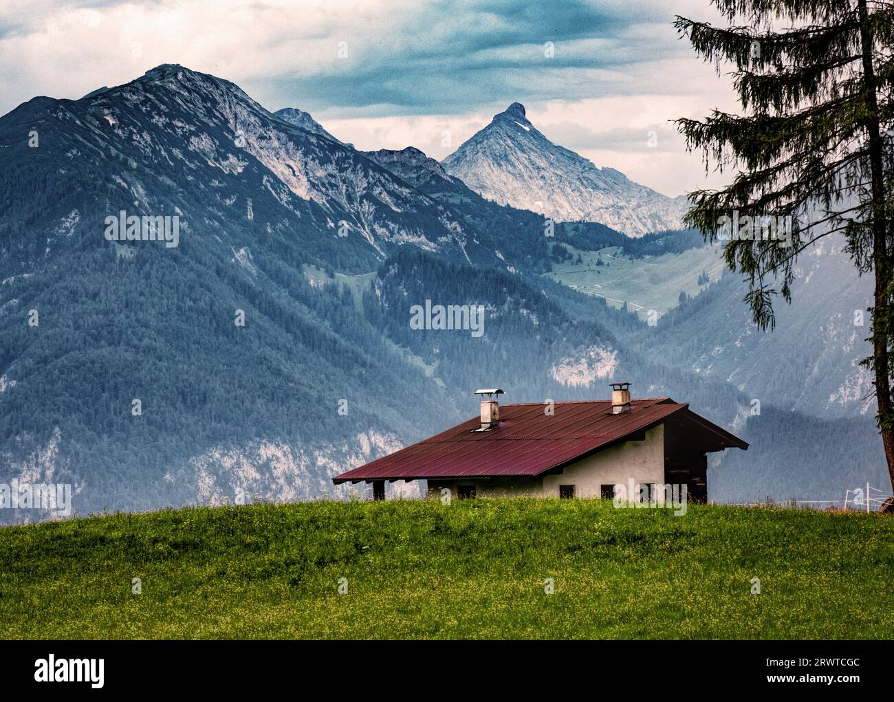 House in Austrian Alps with tall tree, field & mountains. Reith im