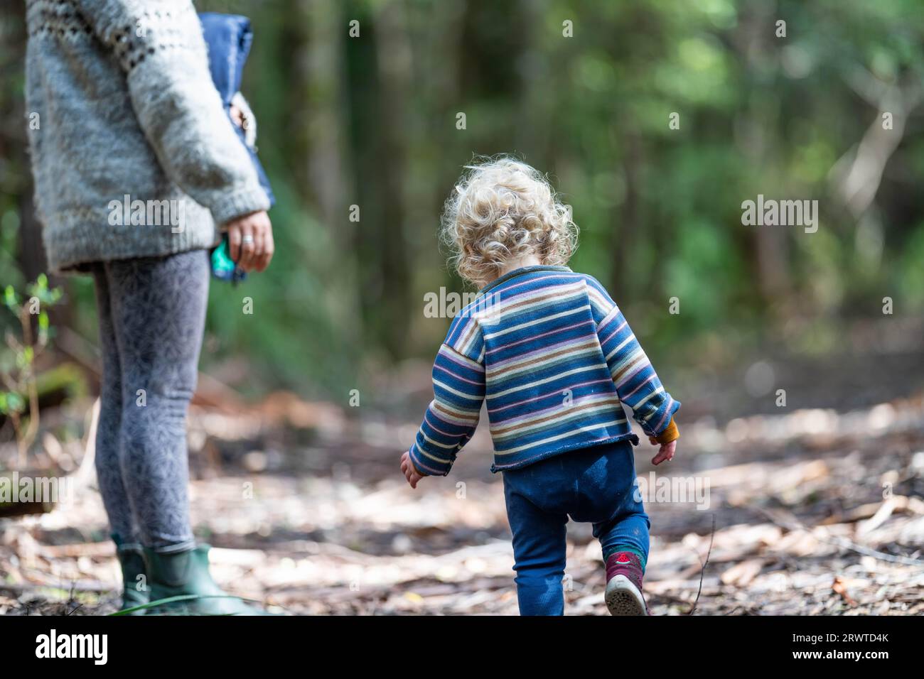 Mother with baby in a carrier on her chest on a hike, taking a bush walk in Summer in a national park Stock Photo