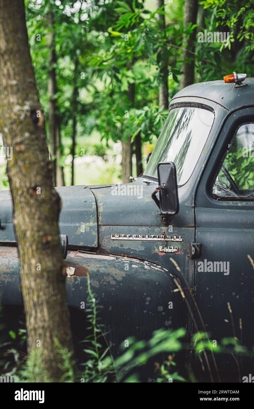 A vertical of an old pick-up truck parked in a green grassy area Stock ...