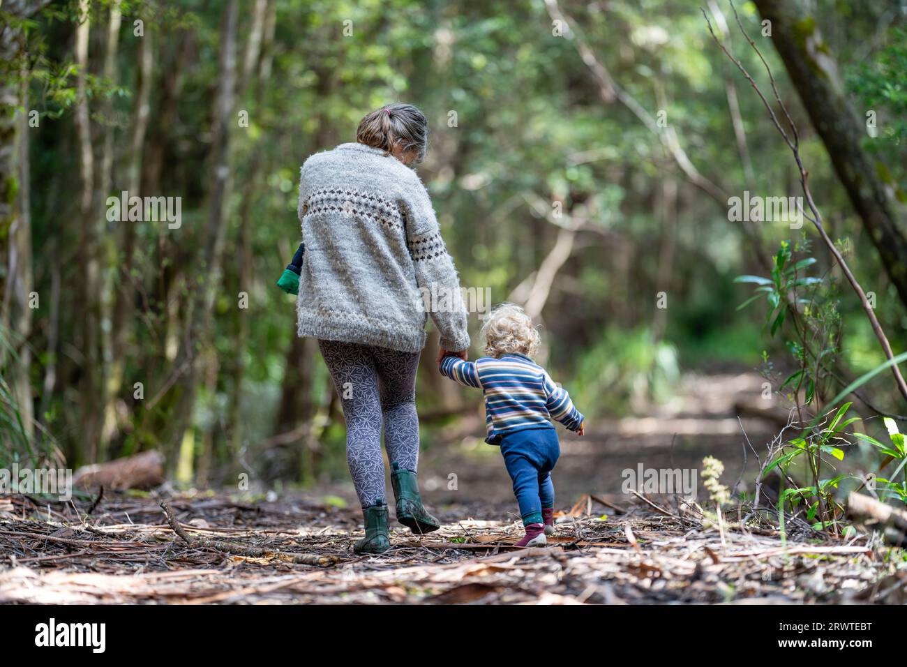 Mother with baby in a carrier on her chest on a hike, taking a bush walk in Summer in a national park Stock Photo