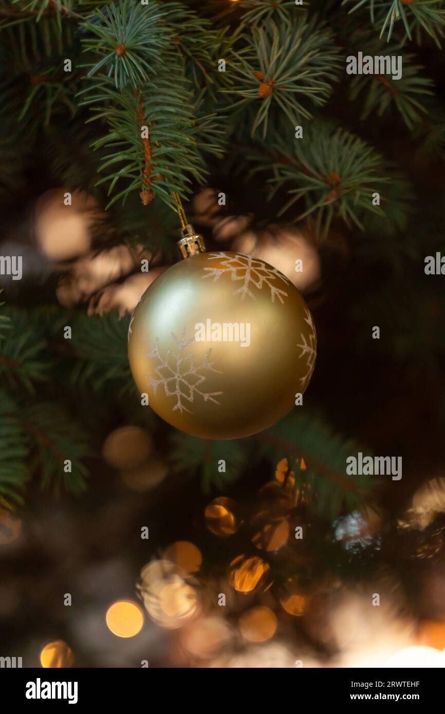 Golden spruce tree hi-res stock photography and images - Alamy