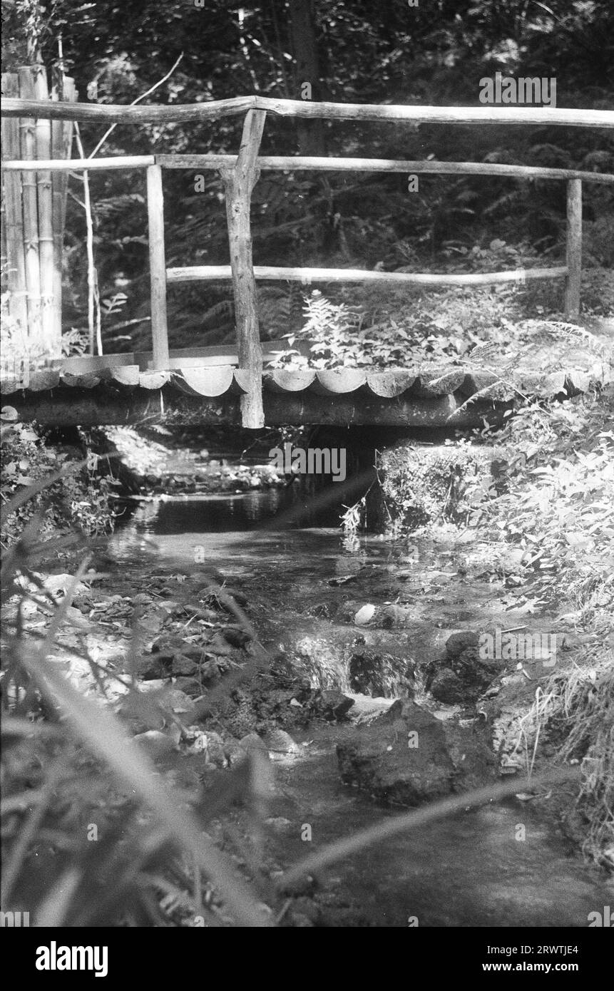 Botanical garden in Batumi, Georgia Stock Photo - Alamy