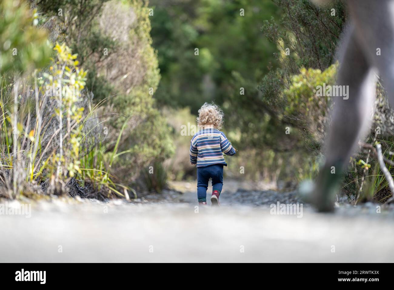 Mother with baby in a carrier on her chest on a hike, taking a bush