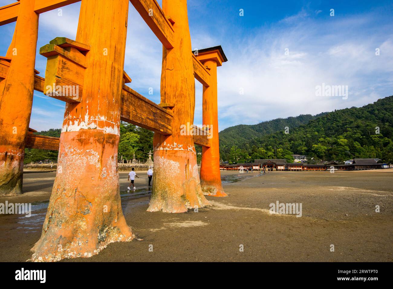 Otorii of Itsukushima Shrine Stock Photo - Alamy