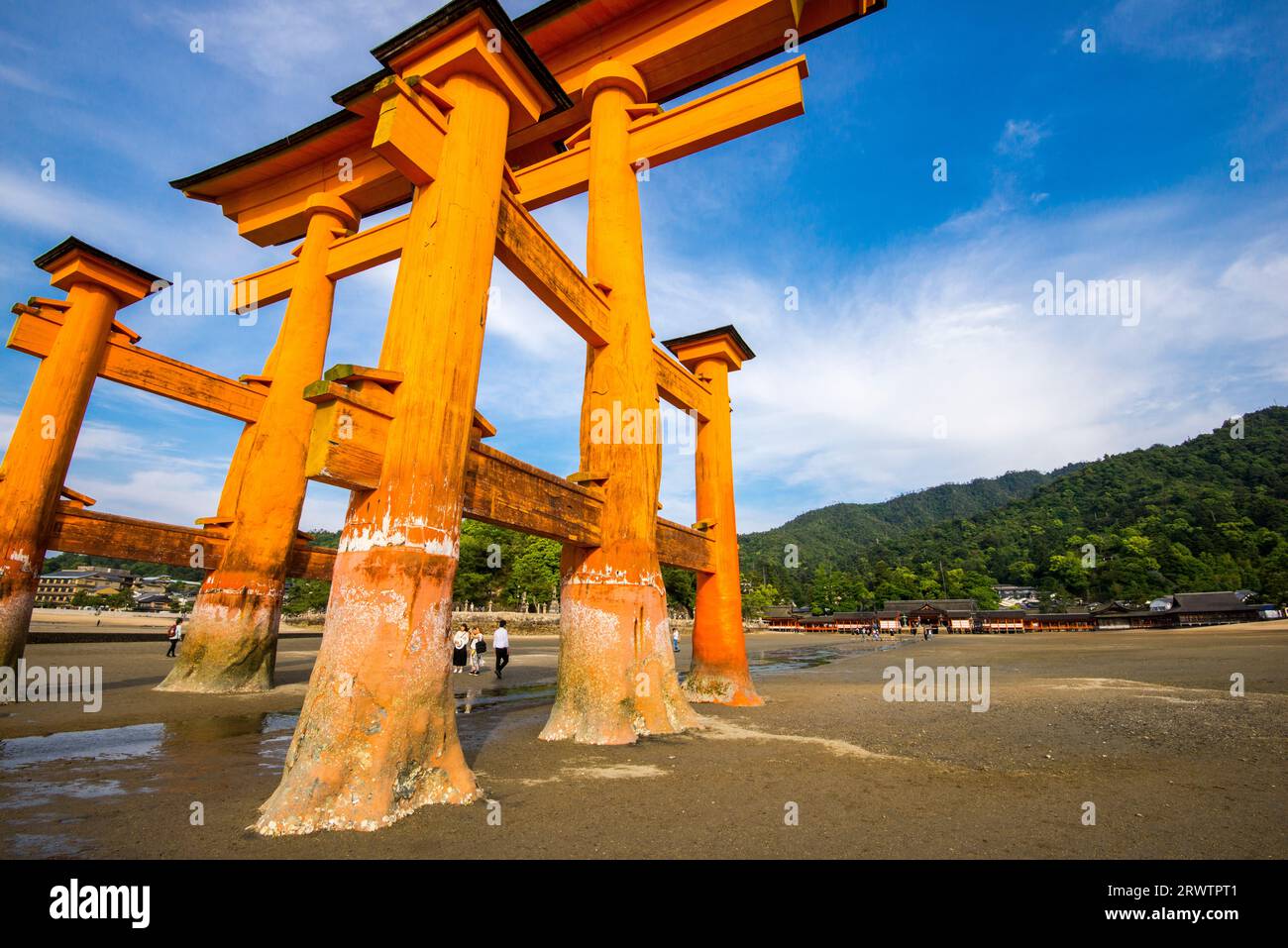 Otorii of Itsukushima Shrine Stock Photo - Alamy