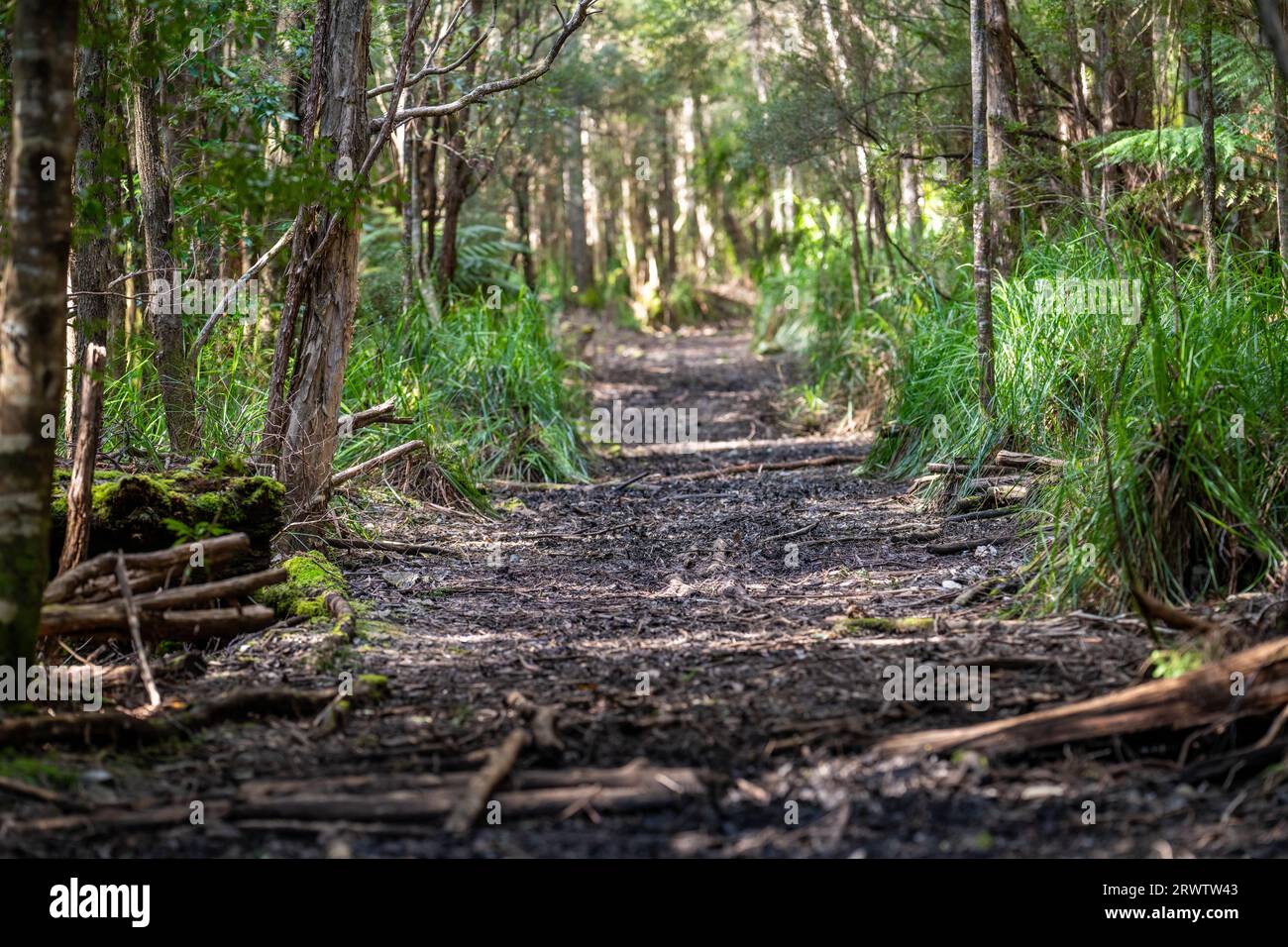 Australian alps walking track hi-res stock photography and images - Alamy