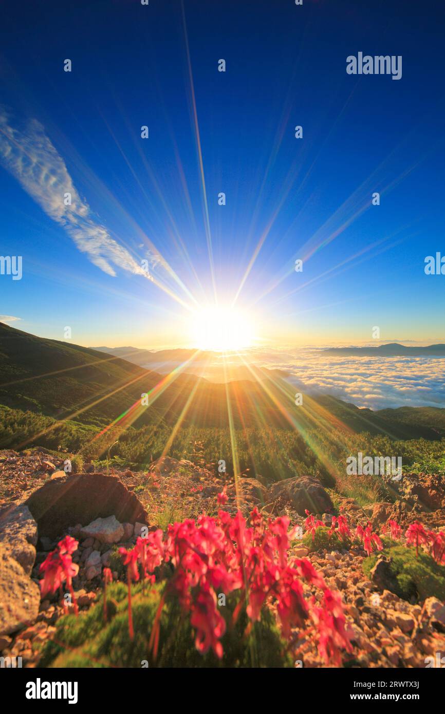 Komakusa, the morning sun, Mt. Yagatake and other mountains and sea of clouds Stock Photo