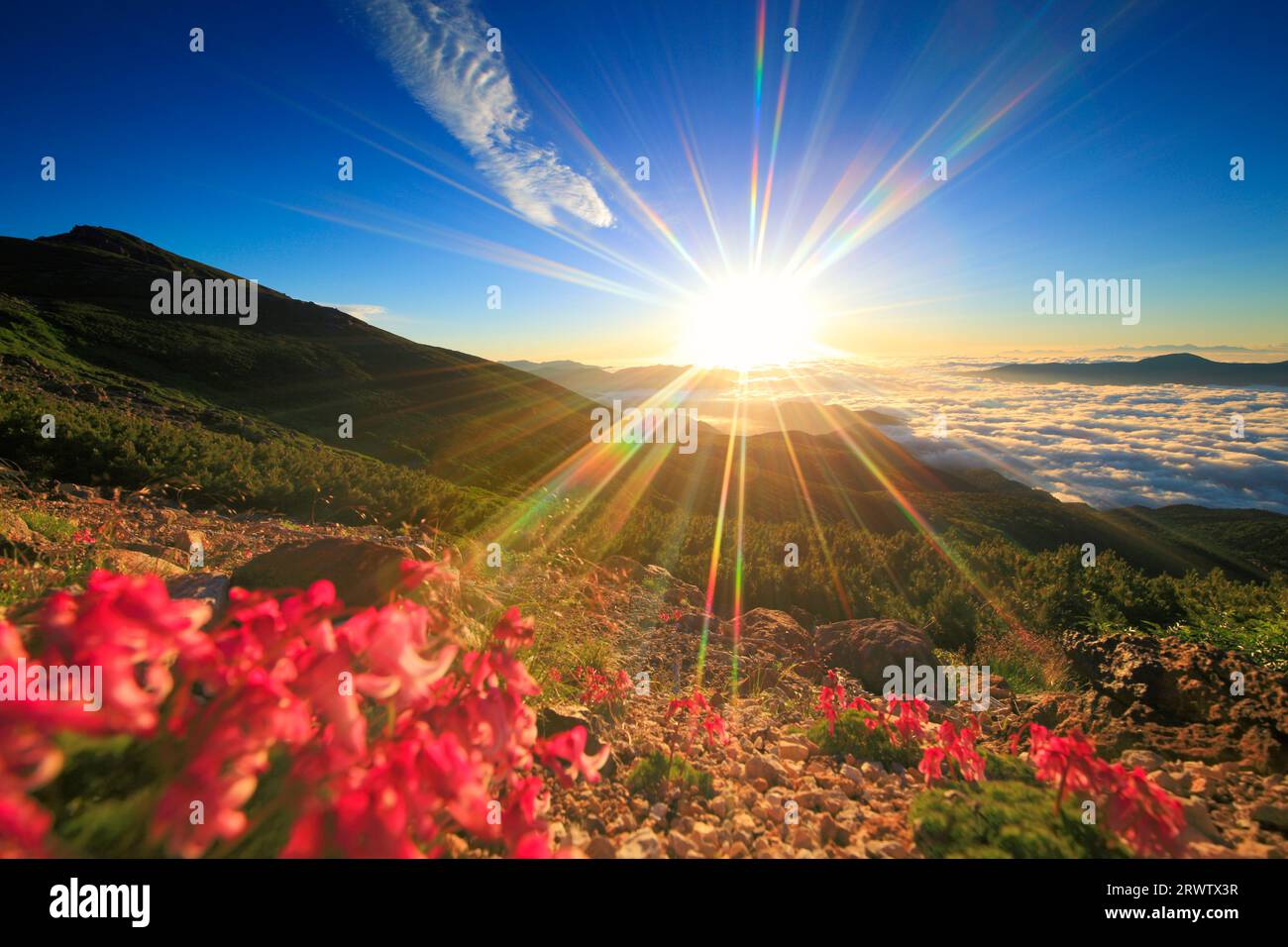 Komakusa, morning sun, Mt. Daikoku, Mt. Yagatake and other mountains and sea of clouds Stock Photo