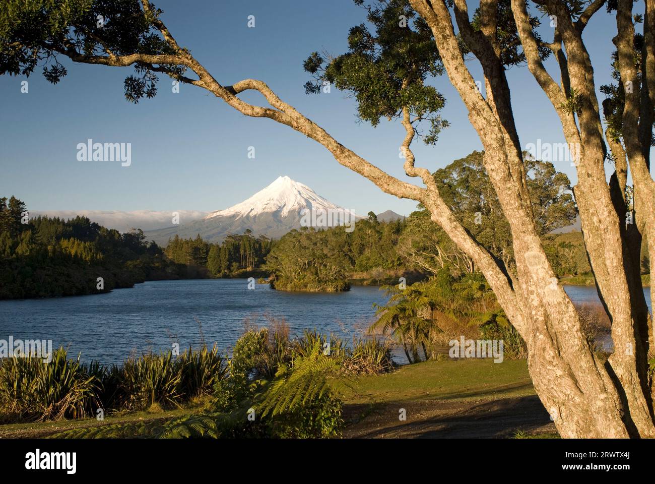 Mt. Taranaki from Lake Mangamahoe on a sunny day. New Zealand Stock Photo