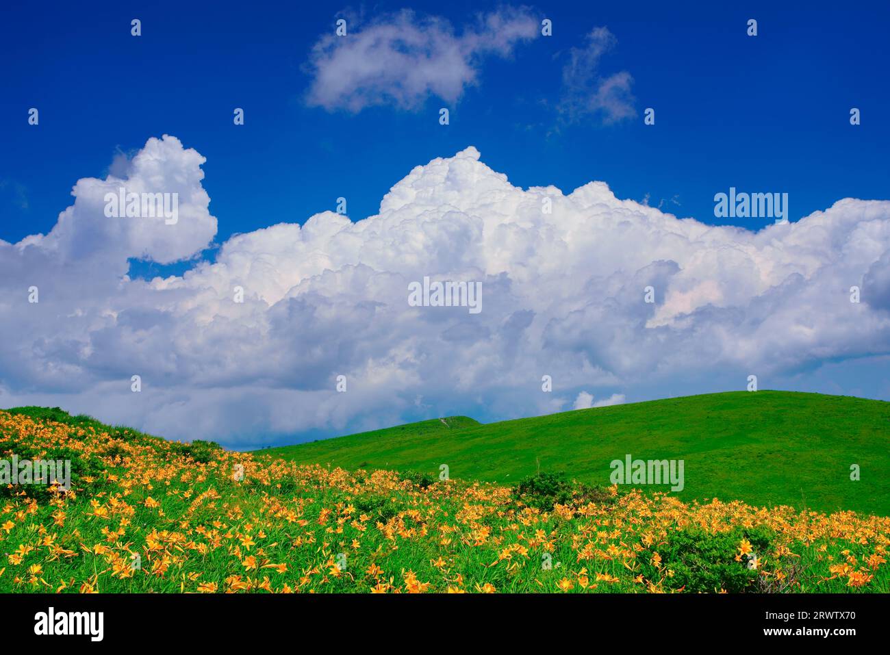 Nikkoukisuge and iridescent clouds Stock Photo