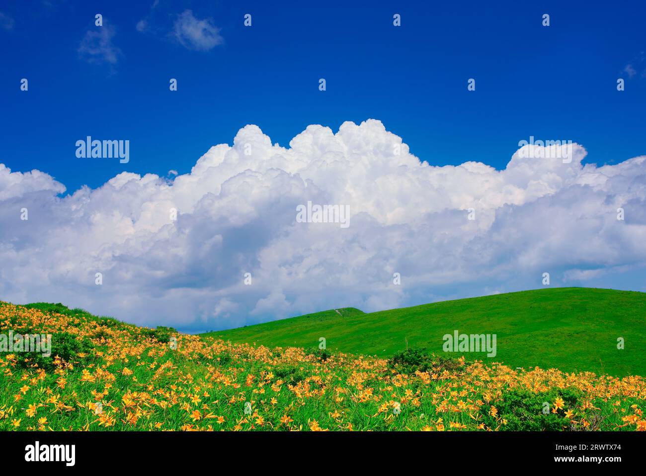 Nikkoukisuge and iridescent clouds Stock Photo