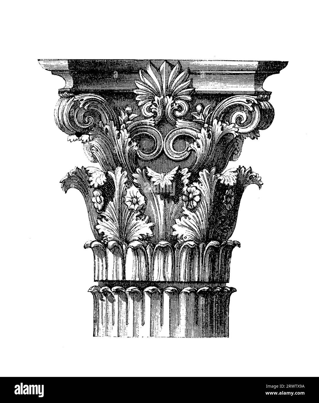 Corinthian order capital with acanthus leaves and scrolls, was the most ornate order of Greek and Roman architecture, vintage engraving Stock Photo