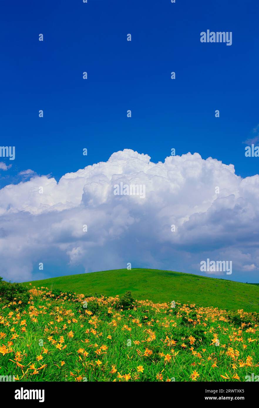 Nikkoukisuge and iridescent clouds Stock Photo