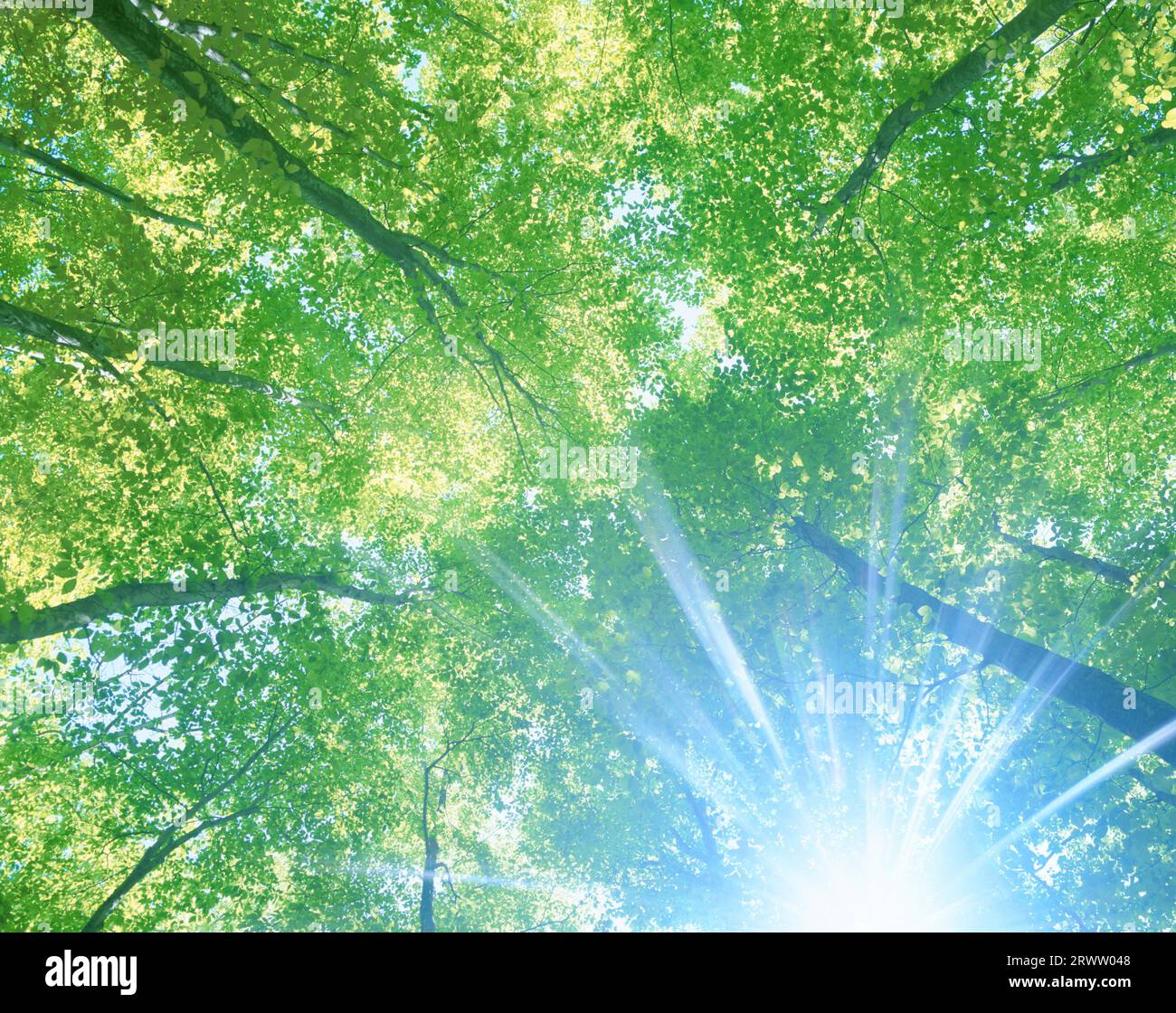 Kobo shaft of light hi-res stock photography and images - Alamy